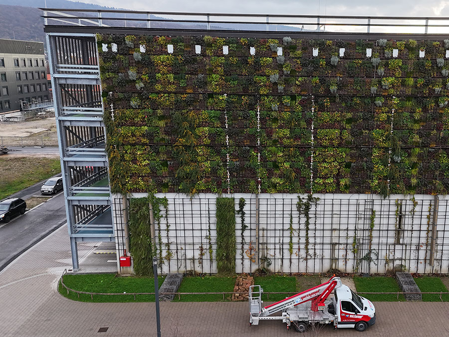 Fassadenbegrünung Parkhaus HIP in Heidelberg